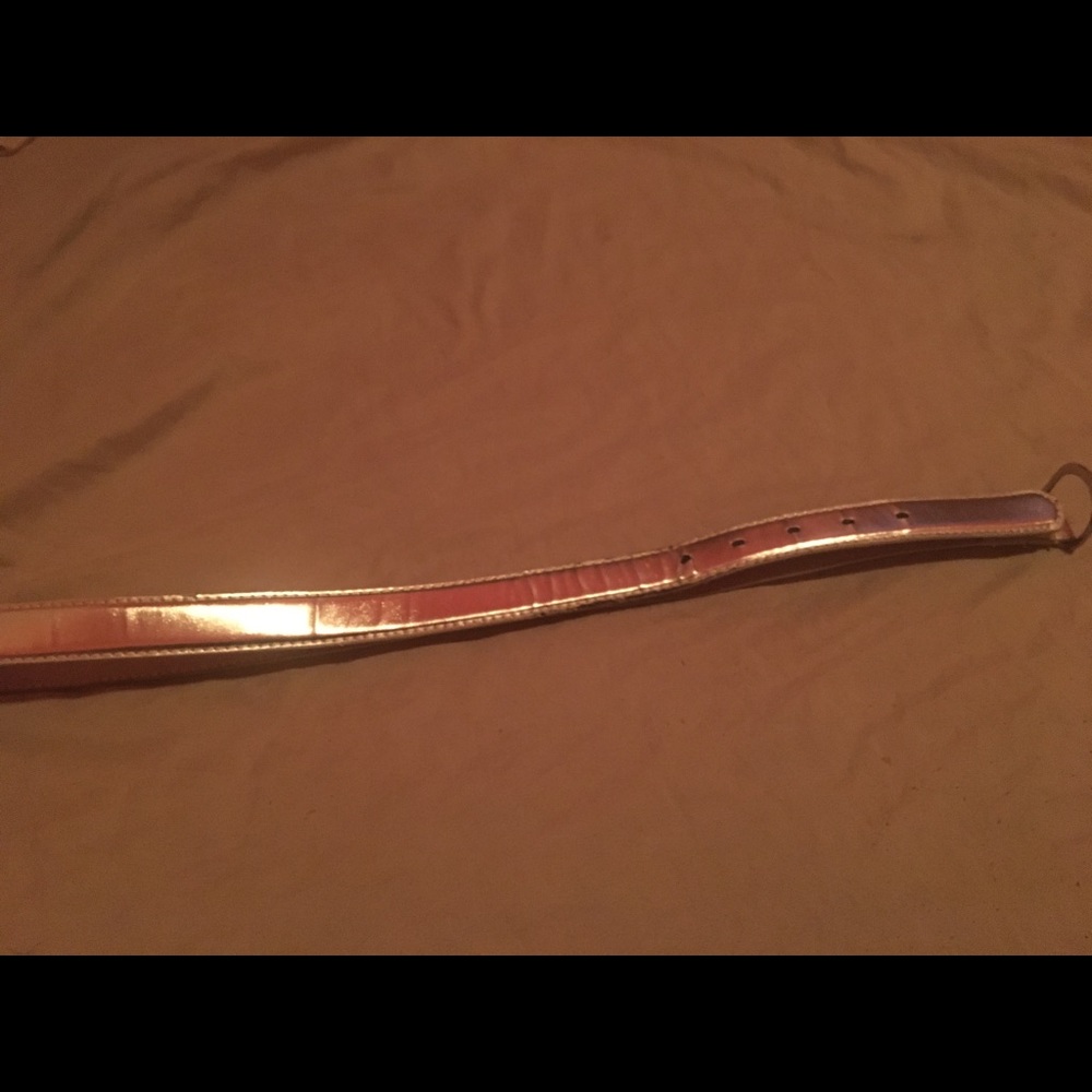 Gold/Silver Belt